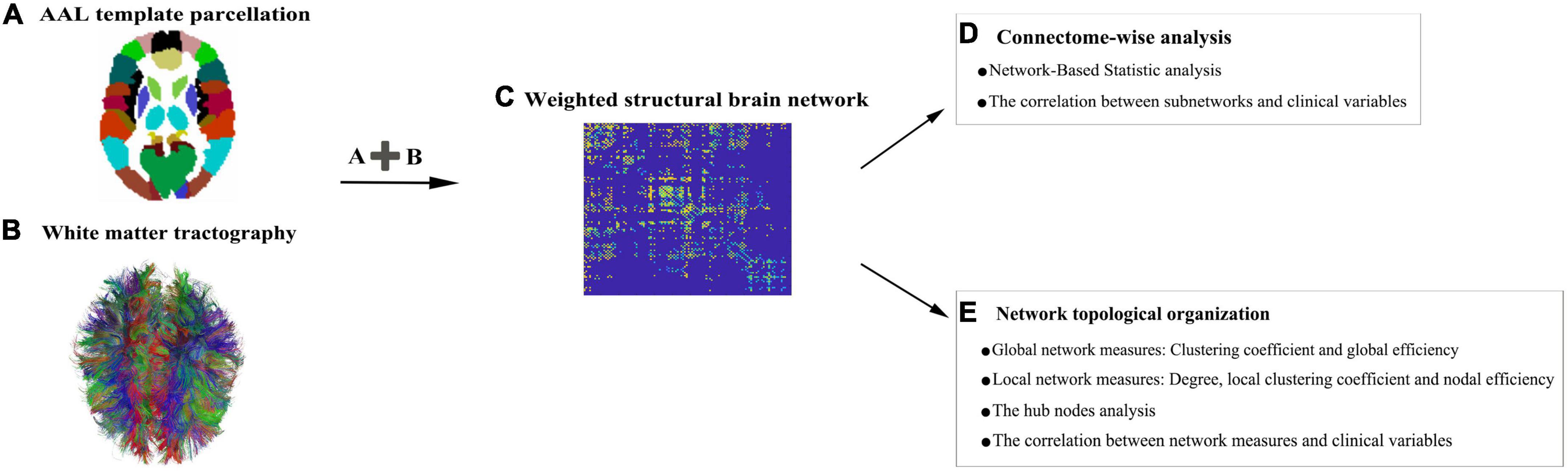 Graph analysis of diffusion tensor imaging-based connectome in young men with internet gaming disorder